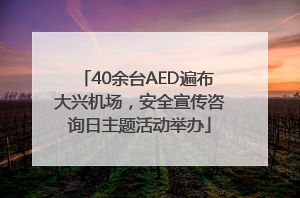 40余台AED遍布大兴机场，安全宣传咨询日主题活动举办