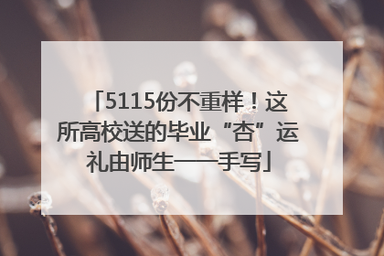 5115份不重样！这所高校送的毕业“杏”运礼由师生一一手写