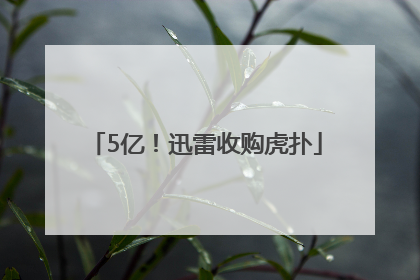 5亿！迅雷收购虎扑