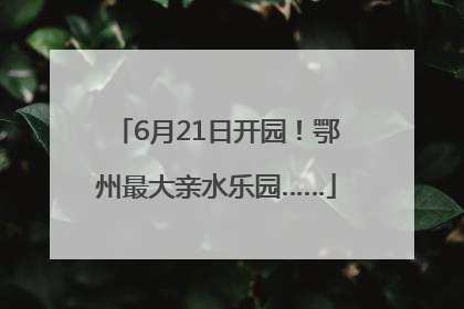 6月21日开园！鄂州最大亲水乐园……