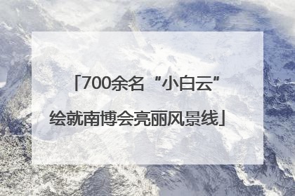 700余名“小白云”绘就南博会亮丽风景线