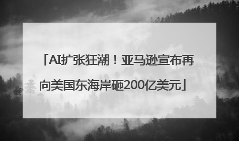 AI扩张狂潮！亚马逊宣布再向美国东海岸砸200亿美元
