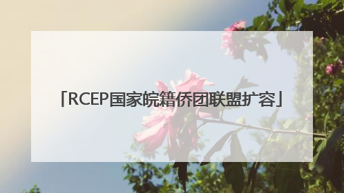 RCEP国家皖籍侨团联盟扩容